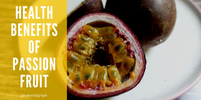 Passion Fruit : Health Benefit of Passion Fruit | Nutrients facts