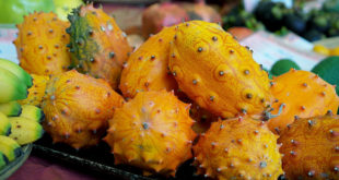 Kiwano (Horned Melon) | Health Benefits of Kiwano