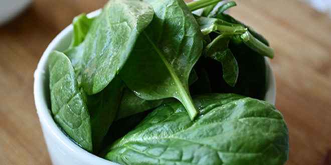 Spinach | Health Benefits of Spinach | Spinach Nutrients