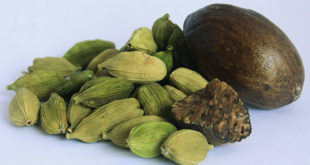 Cardamom