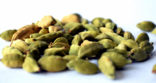 Cardamom