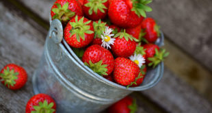 Strawberries Nutrition | Health Benefits of Strawberry