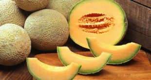 Health benefits of Cantaloupe | Cantaloupe Nutrients and side effects