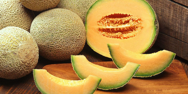 Health benefits of Cantaloupe | Cantaloupe Nutrients and side effects