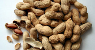 Health Benefits of Groundnut | Peanut