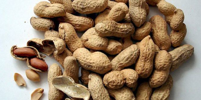 Health Benefits of Groundnut | Peanut