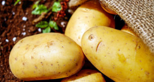 Health Benefit of Potato | Nutritional facts