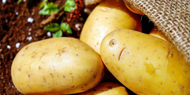 Health Benefit of Potato | Nutritional facts