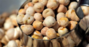 Chickpeas