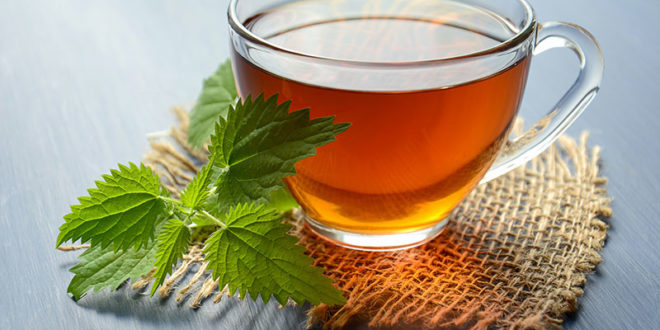 7 health benefits of green tea