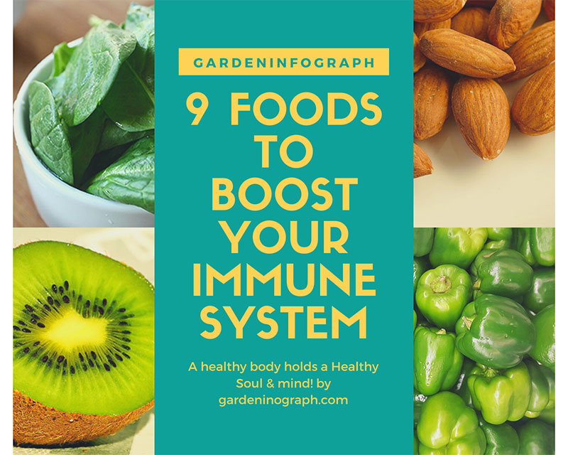 9 Foods that Boost your Immune system - Garden infograph