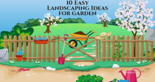 Easy landscaping ideas