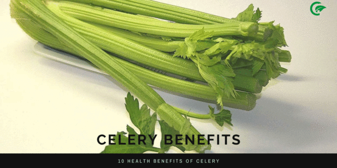 celery health benefits