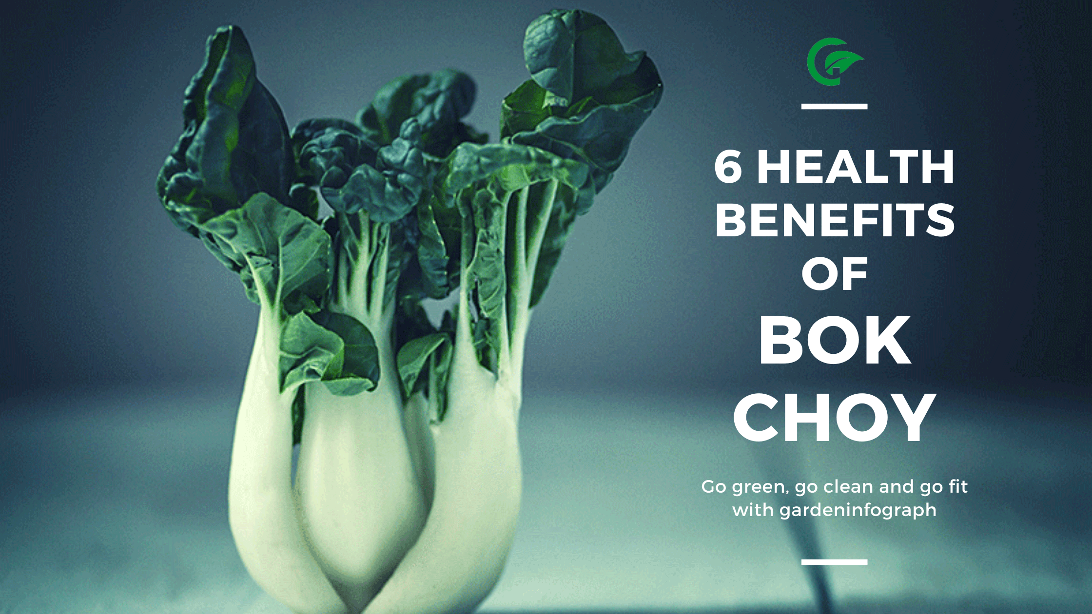 health benefits of bok choy