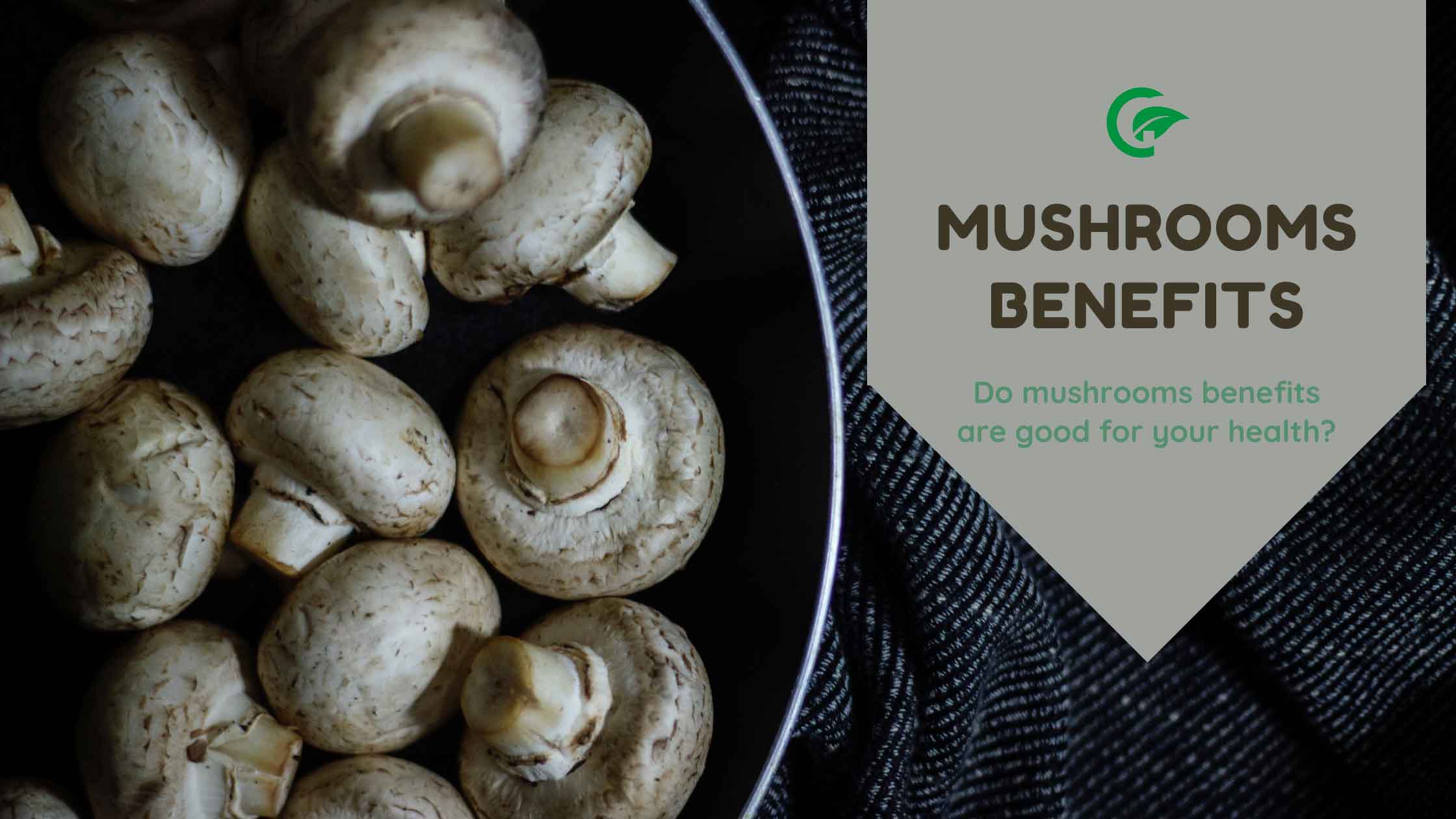 mushrooms benefits