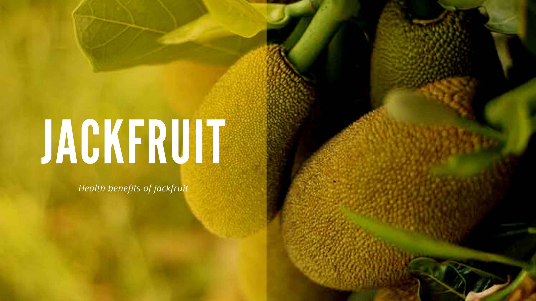 jackfruit benefits