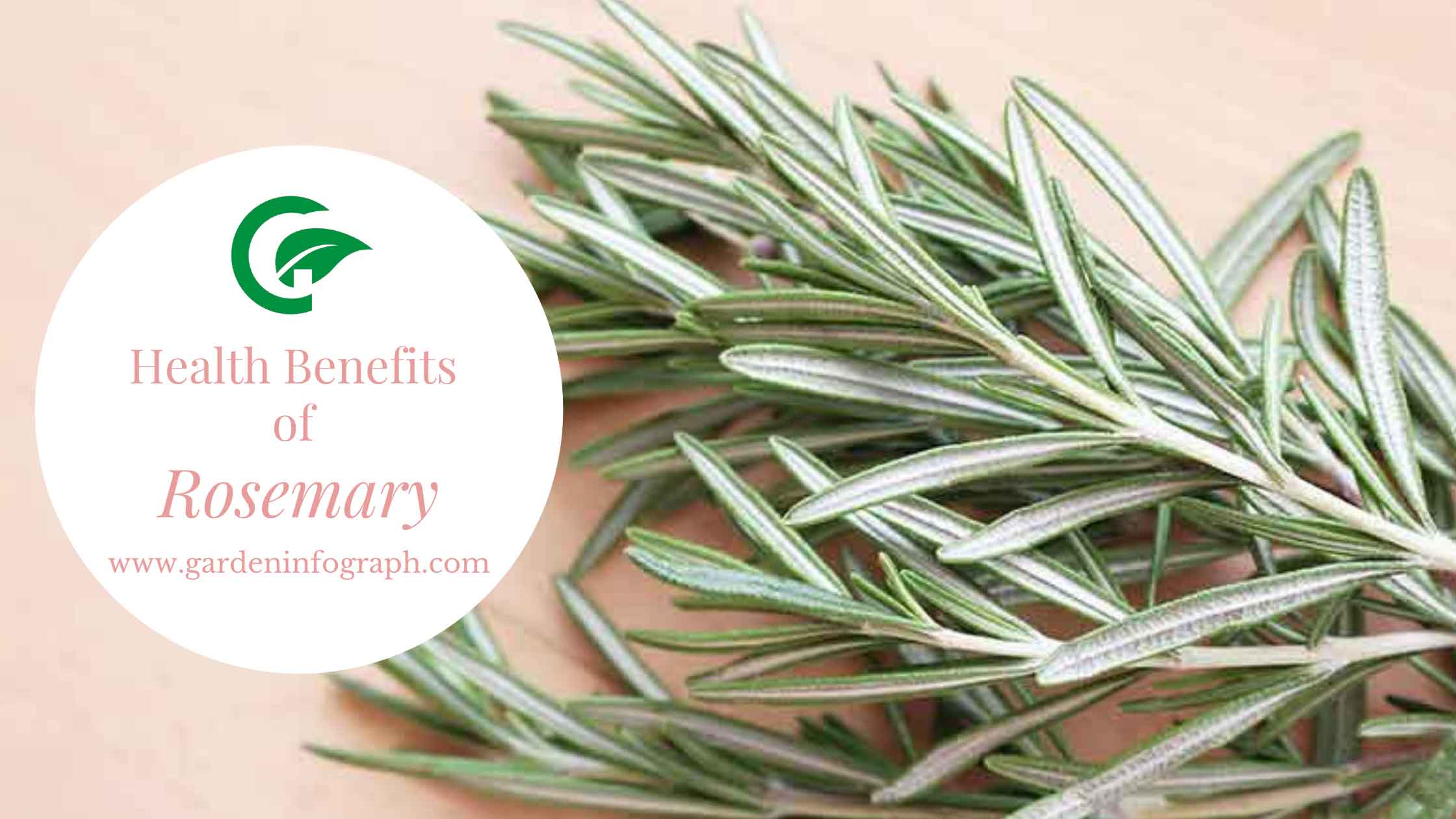 health benefits of rosemary