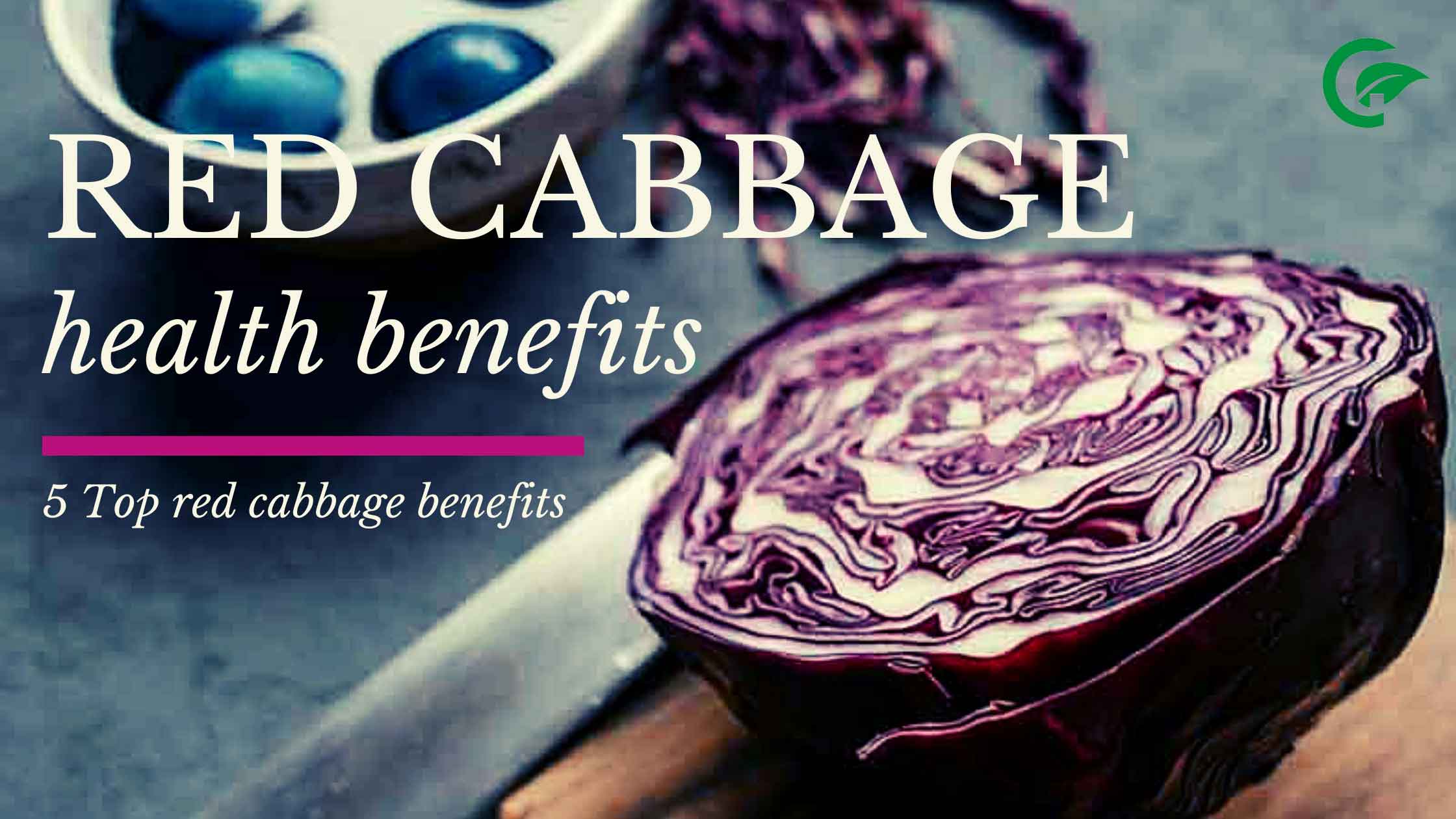 red cabbage benefits