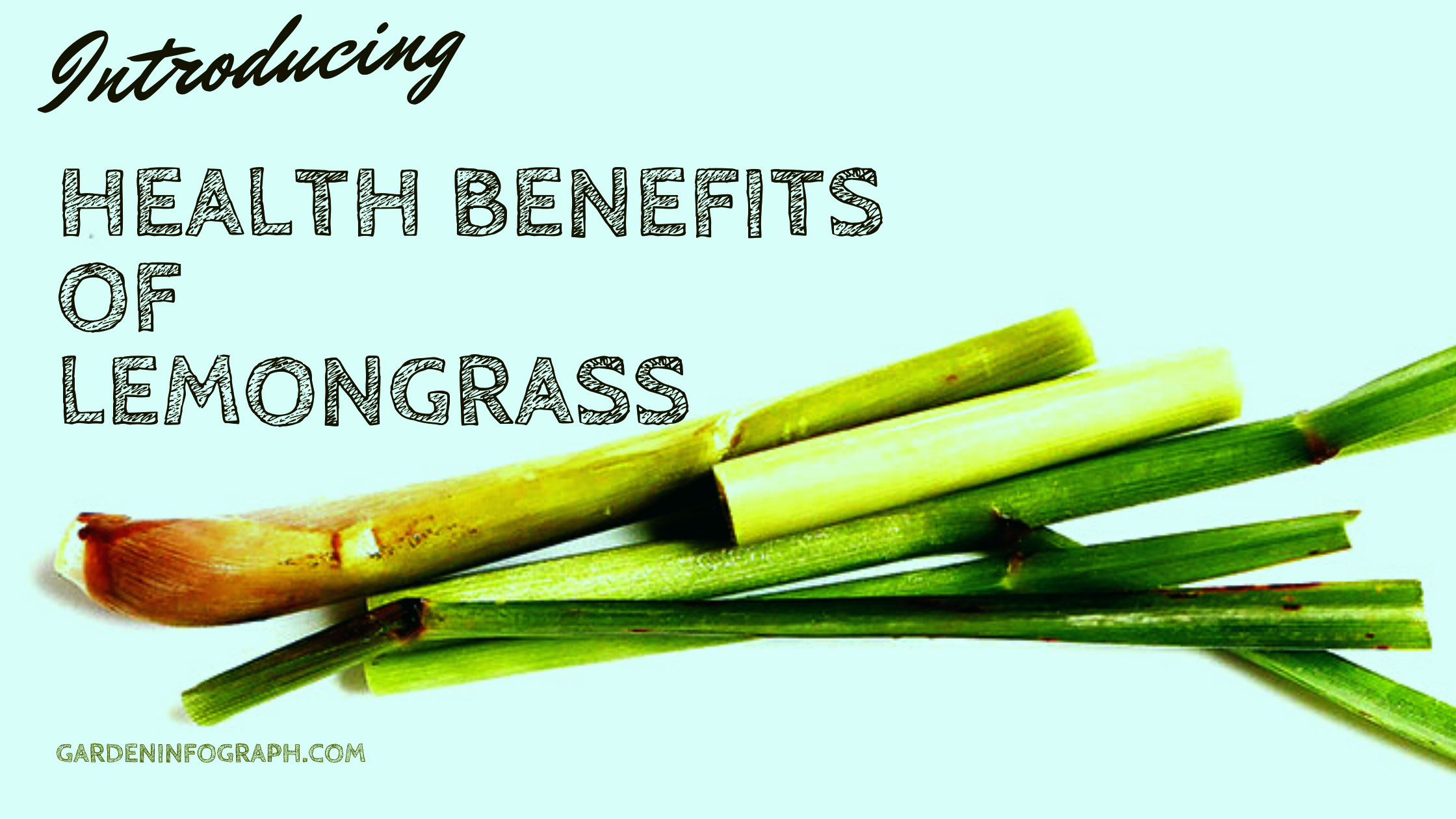 lemongrass health benefits