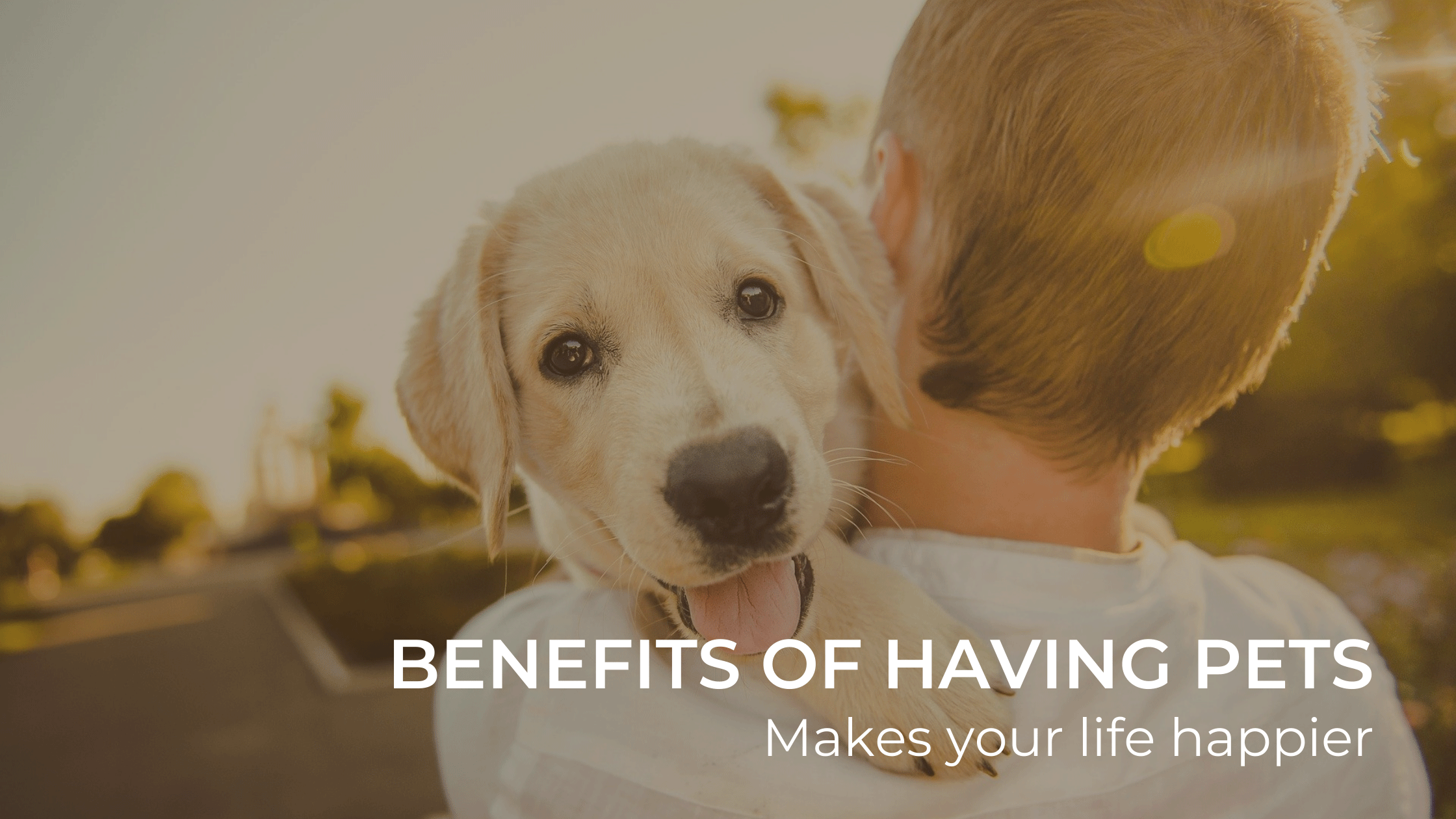 Benefits of pets